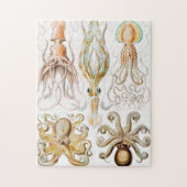 Octopus Squid, Gamochonia door Ernst Haeckel Legpuzzel (Verticaal)