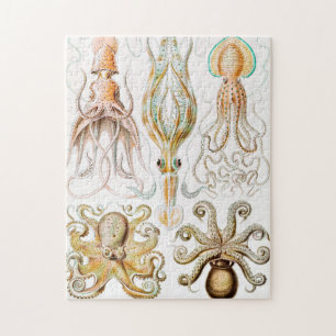 Octopus Squid, Gamochonia door Ernst Haeckel Legpuzzel