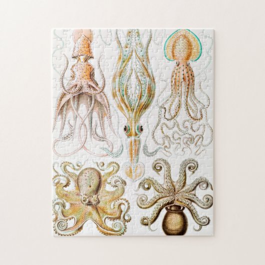 Octopus Squid, Gamochonia door Ernst Haeckel Legpuzzel (Verticaal)