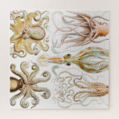 Octopus Squid, Gamochonia door Ernst Haeckel Legpuzzel (Horizontaal)