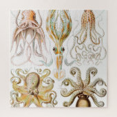 Octopus Squid, Gamochonia door Ernst Haeckel Legpuzzel (Verticaal)
