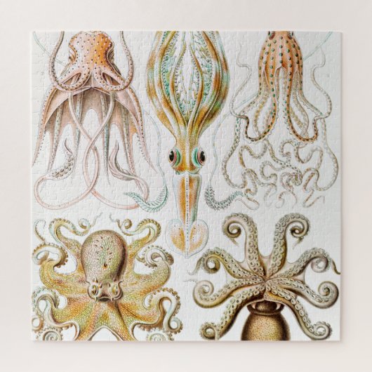 Octopus Squid, Gamochonia door Ernst Haeckel Legpuzzel (Verticaal)