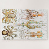 Octopus Squid, Gamochonia door Ernst Haeckel Legpuzzel (Horizontaal)