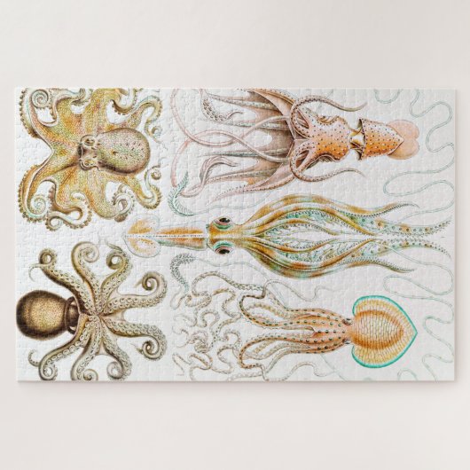 Octopus Squid, Gamochonia door Ernst Haeckel Legpuzzel (Horizontaal)