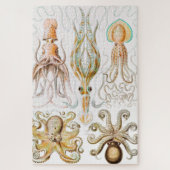 Octopus Squid, Gamochonia door Ernst Haeckel Legpuzzel (Verticaal)