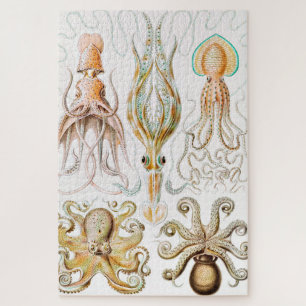 Octopus Squid, Gamochonia door Ernst Haeckel Legpuzzel