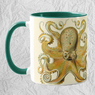 Octopus Squid Gamochonia door Ernst Haeckel Mok
