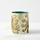 Octopus Squid Gamochonia door Ernst Haeckel Mok (Midden)