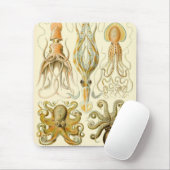 Octopus Squid Gamochonia door Ernst Haeckel Muismat (Met muis)