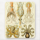  Octopus Squid Gamochonia door Ernst Haeckel Muismat (Voorkant)