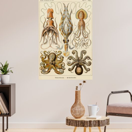 Octopus Squid Gamochonia door Ernst Haeckel Poster (Woonkamer 3)