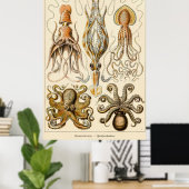 Octopus Squid Gamochonia door Ernst Haeckel Poster (Thuiskantoor)