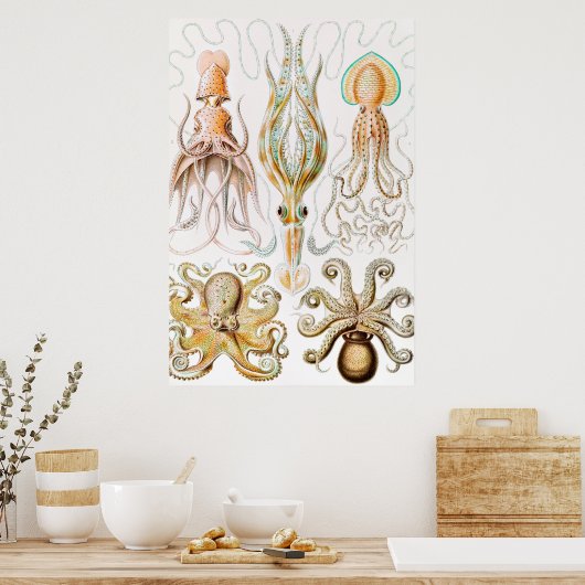 Octopus Squid, Gamochonia door Ernst Haeckel Poster (Keuken)