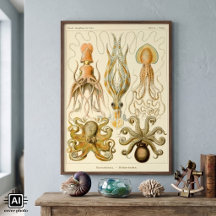 Octopus Squid Gamochonia door Ernst Haeckel