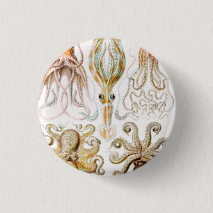 Octopus Squid, Gamochonia door Ernst Haeckel Ronde Button 3,2 Cm