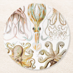 Octopus Squid, Gamochonia door Ernst Haeckel Ronde Kartonnen Onderzetter