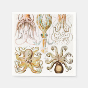 Octopus Squid, Gamochonia door Ernst Haeckel Servet