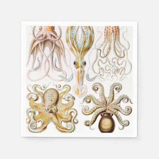 Octopus Squid, Gamochonia door Ernst Haeckel Servet (Voorkant)
