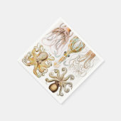 Octopus Squid, Gamochonia door Ernst Haeckel Servet (Hoek)