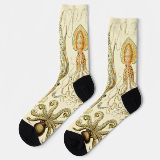  Octopus Squid Gamochonia door Ernst Haeckel Sokken (Links)