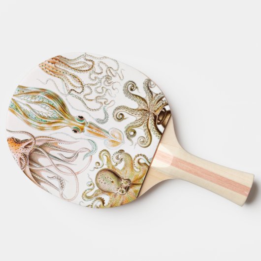 Octopus Squid, Gamochonia door Ernst Haeckel Tafeltennisbatje (Zijkant)