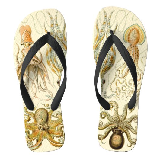  Octopus Squid Gamochonia door Ernst Haeckel Teenslippers (Voetbed)