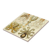  Octopus Squid Gamochonia door Ernst Haeckel Tegeltje (Zijkant)