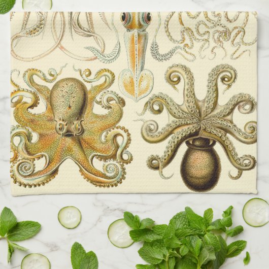  Octopus Squid Gamochonia door Ernst Haeckel Theedoek (Gevouwen)