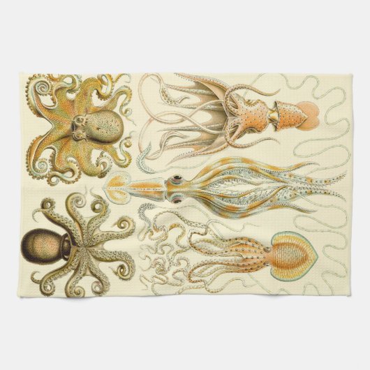  Octopus Squid Gamochonia door Ernst Haeckel Theedoek (Horizontaal)
