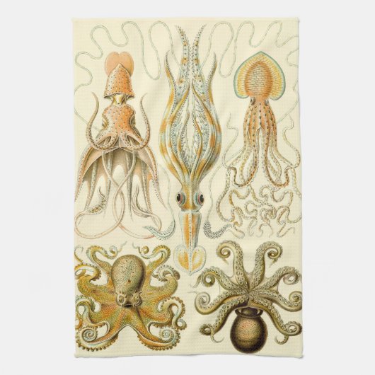  Octopus Squid Gamochonia door Ernst Haeckel Theedoek (Verticaal)