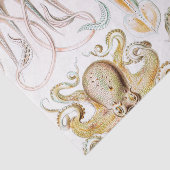 Octopus Squid, Gamochonia door Ernst Haeckel Tissuepapier (Detail)