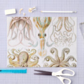 Octopus Squid, Gamochonia door Ernst Haeckel Tissuepapier (Craft)