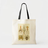 Octopus Squid Gamochonia door Ernst Haeckel Tote Bag (Voorkant)