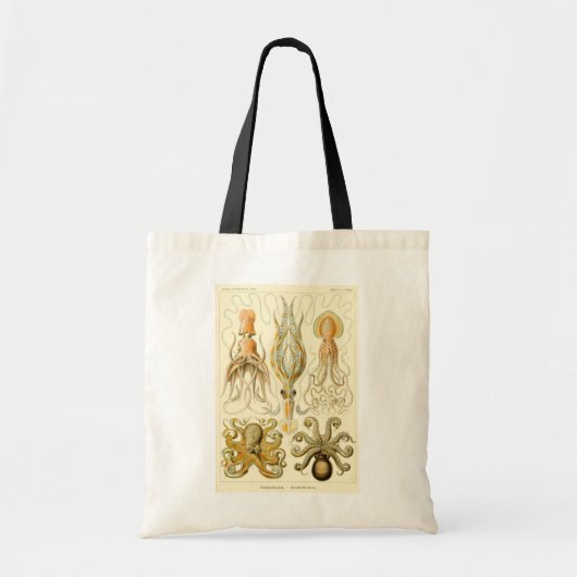  Octopus Squid Gamochonia door Ernst Haeckel Tote Bag (Voorkant)