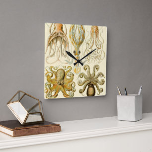  Octopus Squid Gamochonia door Ernst Haeckel Vierkante Klok