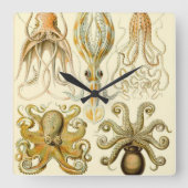  Octopus Squid Gamochonia door Ernst Haeckel Vierkante Klok (Voorkant)