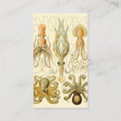 Octopus Squid Gamochonia door Ernst Haeckel Visitekaartje (Achterkant)