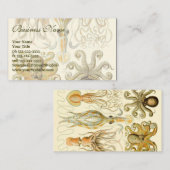 Octopus Squid Gamochonia door Ernst Haeckel Visitekaartje (Voorkant / Achterkant)