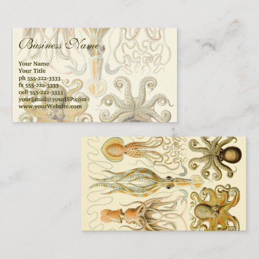Octopus Squid Gamochonia door Ernst Haeckel Visitekaartje (Voorkant / Achterkant)