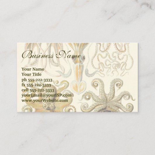 Octopus Squid Gamochonia door Ernst Haeckel Visitekaartje (Voorkant)