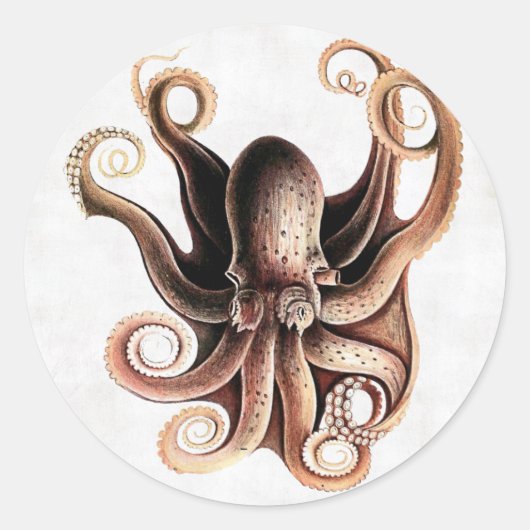 Octopus Sticker (Voorkant)