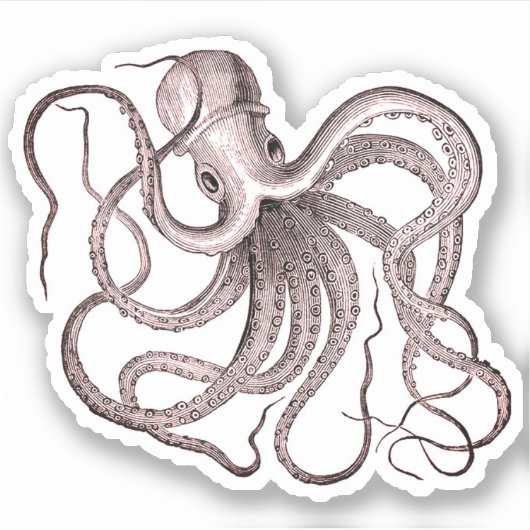 octopus sticker (Voorkant)