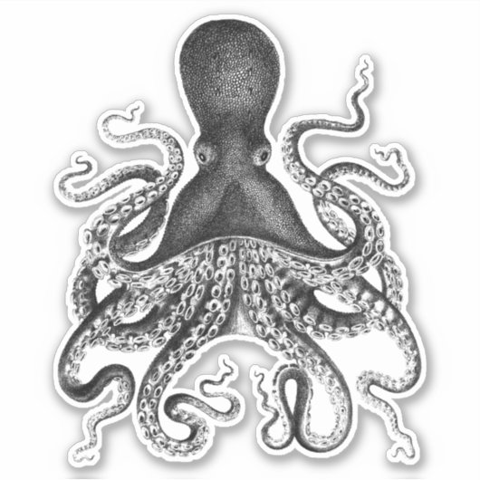octopus sticker (Voorkant)