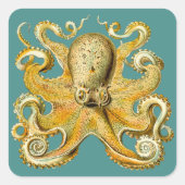 Octopus stickers (Voorkant)