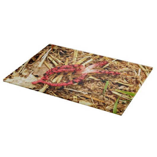 Octopus Stinkhorn Glass Chopping Board Snijplank (Hoek)