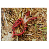 Octopus Stinkhorn Glass Chopping Board Snijplank (Voorkant)