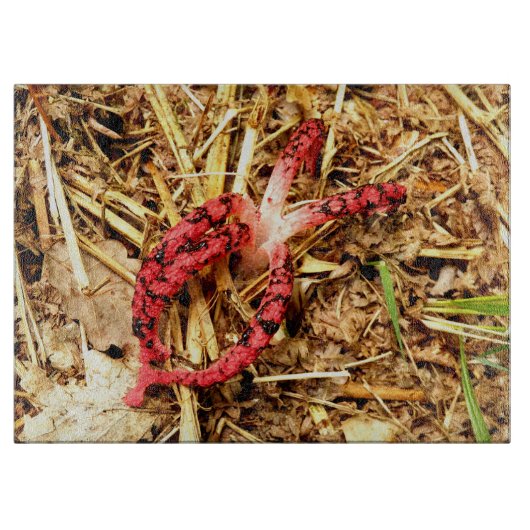 Octopus Stinkhorn Glass Chopping Board Snijplank (Voorkant)