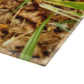 Octopus Stinkhorn Glass Chopping Board Snijplank (Hoek)