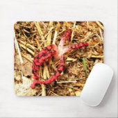 Octopus Stinkhorn Mouse Mat. Muismat (Met muis)