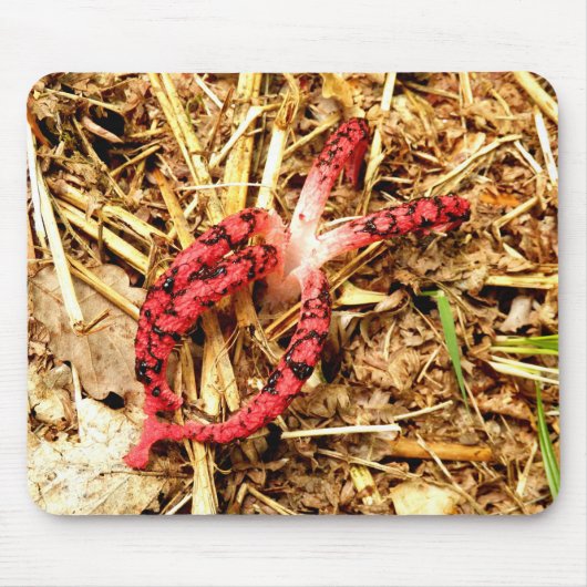 Octopus Stinkhorn Mouse Mat. Muismat (Voorkant)